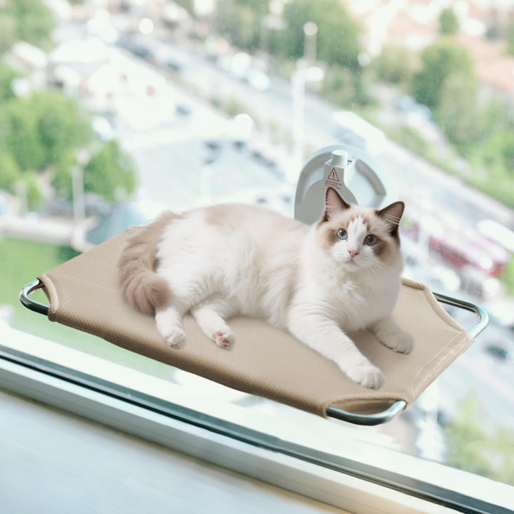 Katzen Fensterliege, Katzenbett Fenster, Katzen Hängematte Fenster | Hängematte Katze Fenster mit Gr