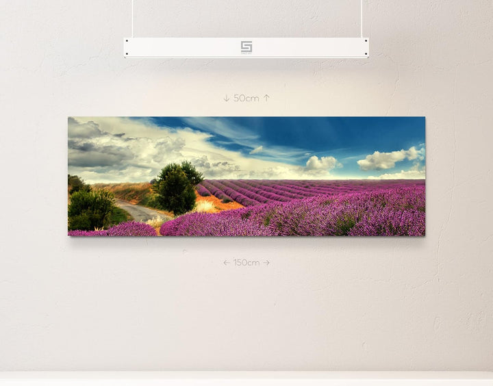 Paul Sinus Art Leinwandbilder | Bilder Leinwand 150x50cm Lavendel Felder bei blauem Himmel, 150x50cm