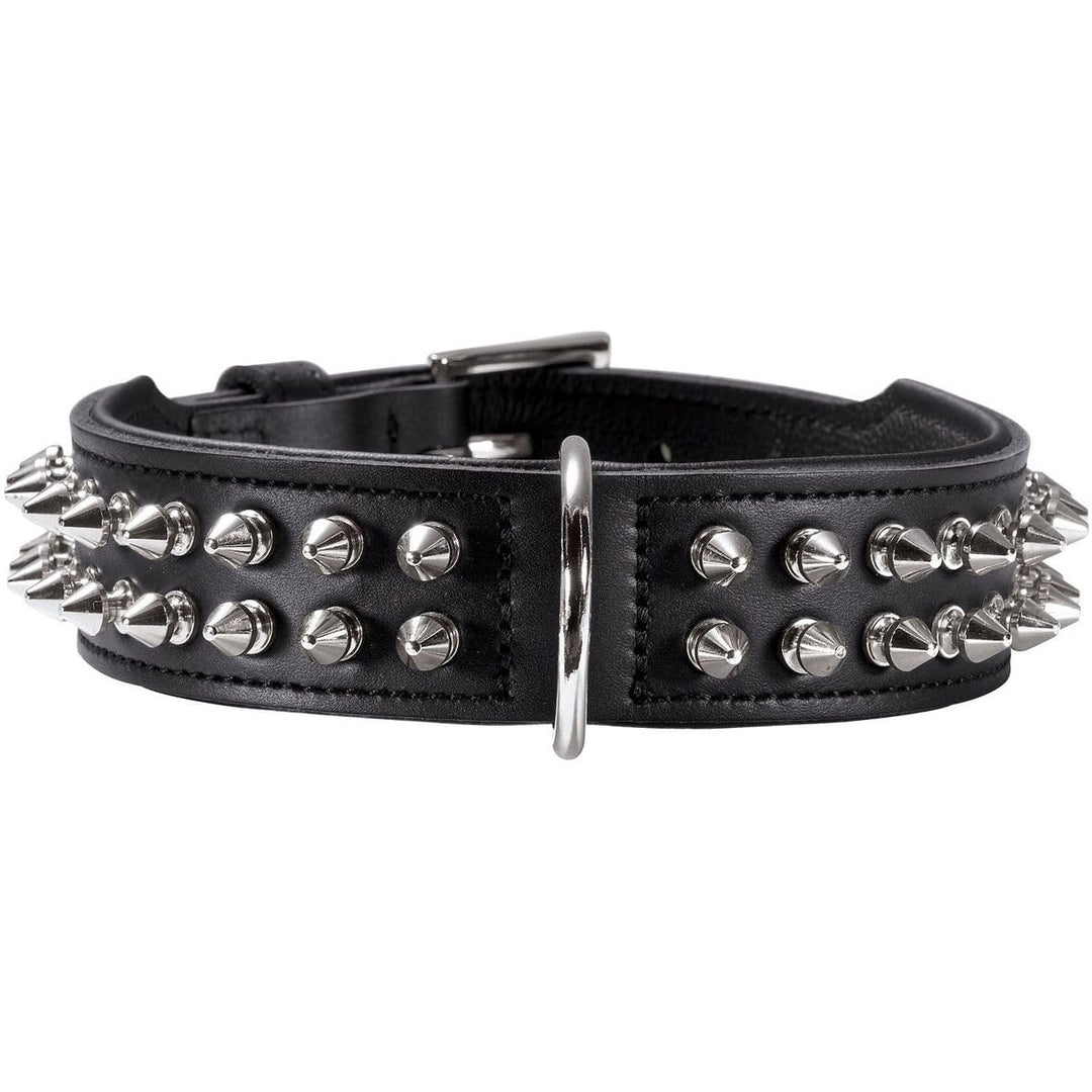 HUNTER RAMBO Hundehalsband, Leder, rockiger Nietenbesatz, 55 (M), schwarz schwarz 55 (M), schwarz 55