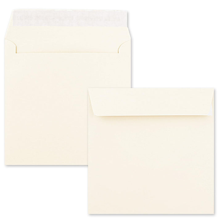 50 quadratische Briefumschläge Farbe: Creme - 15,5 x 15,5 cm (155 x 155 mm) - Haftklebung mit gerade