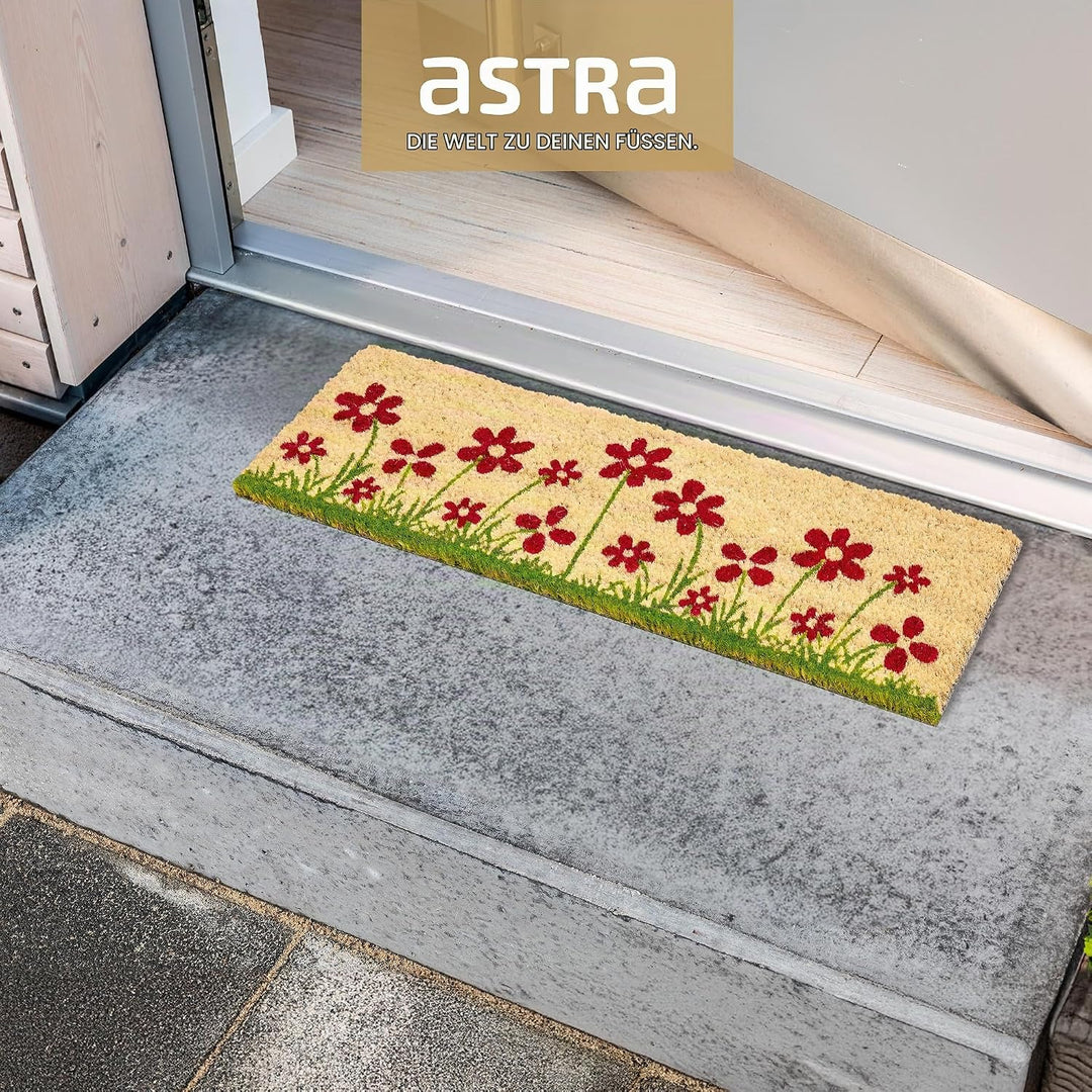 Astra Fussmatte innen beige Schmutzfänger rutschfest - Kokosmatte antibakteriell - Türmatte Set in G