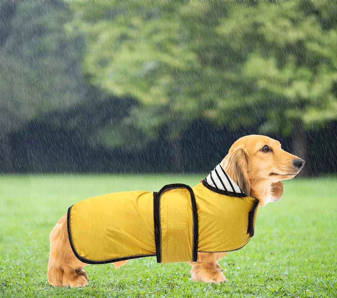 Geyecete Hunde Regenmantel,Einstellbar Wasserdicht Hundejacke für Dackel,Regenmantel mit reflektiere