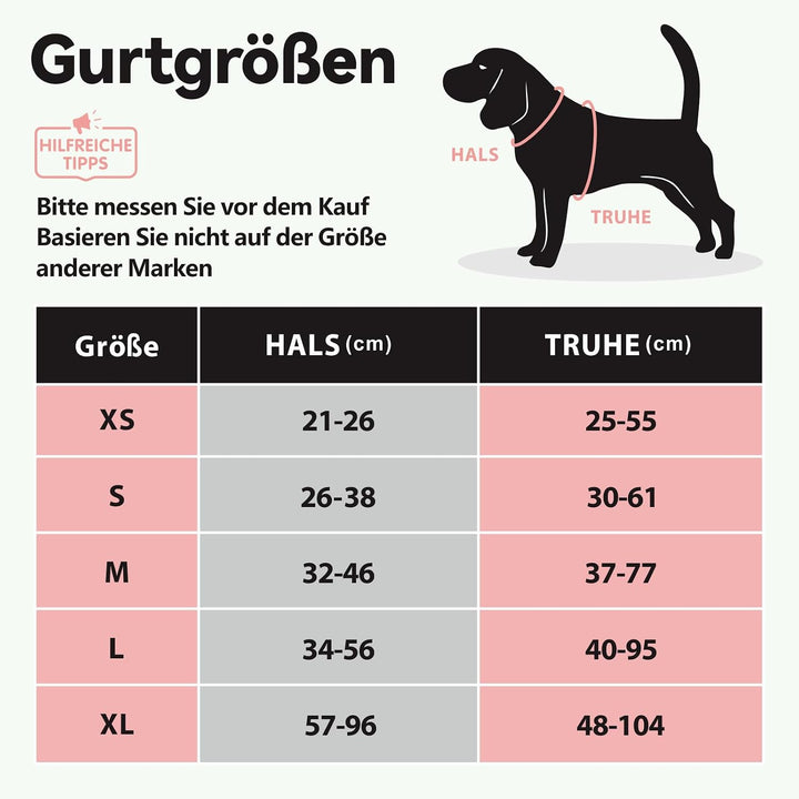 PoyPet No Pull Hundegeschirr, reflektierendes Westengeschirr mit 2 Leinenbefestigungen und einfachem