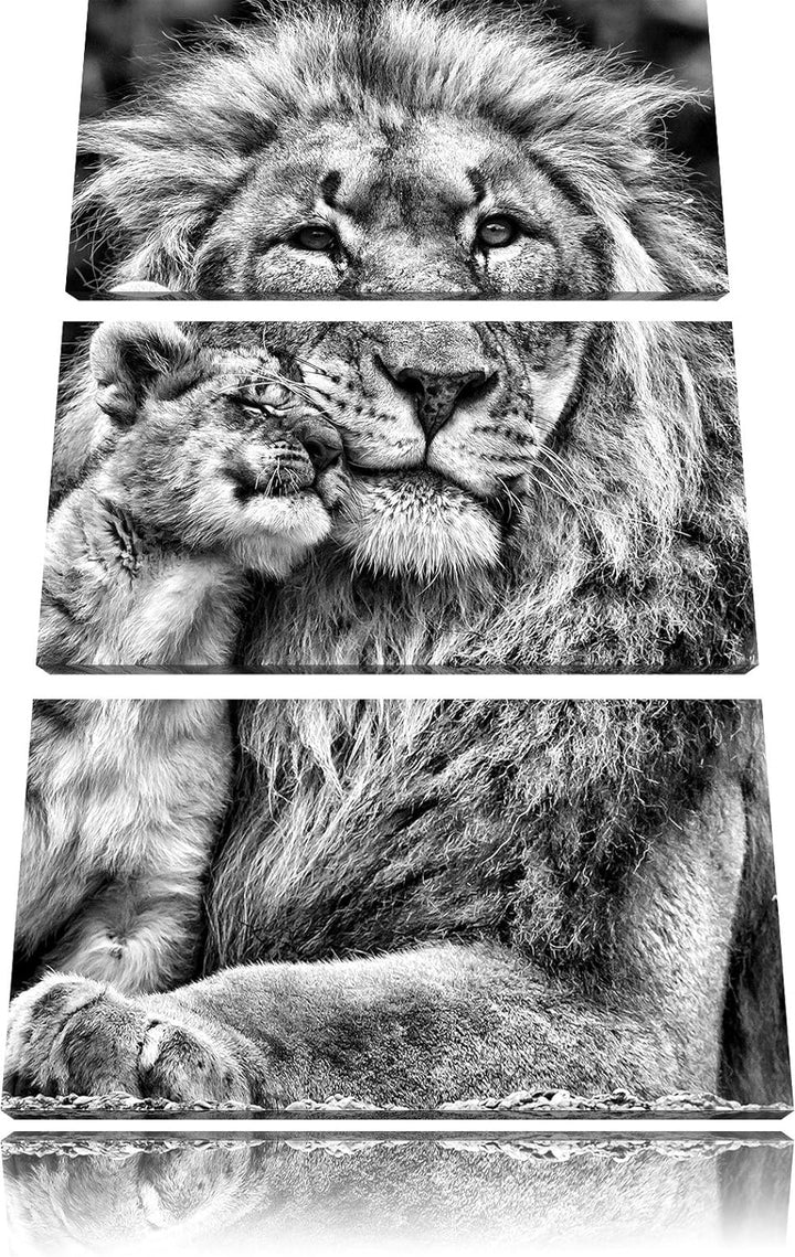 Pixxprint Monocrome, schöner Löwe mit Jungtier 3-Teiler Leinwandbild 120x80 Bild auf Leinwand