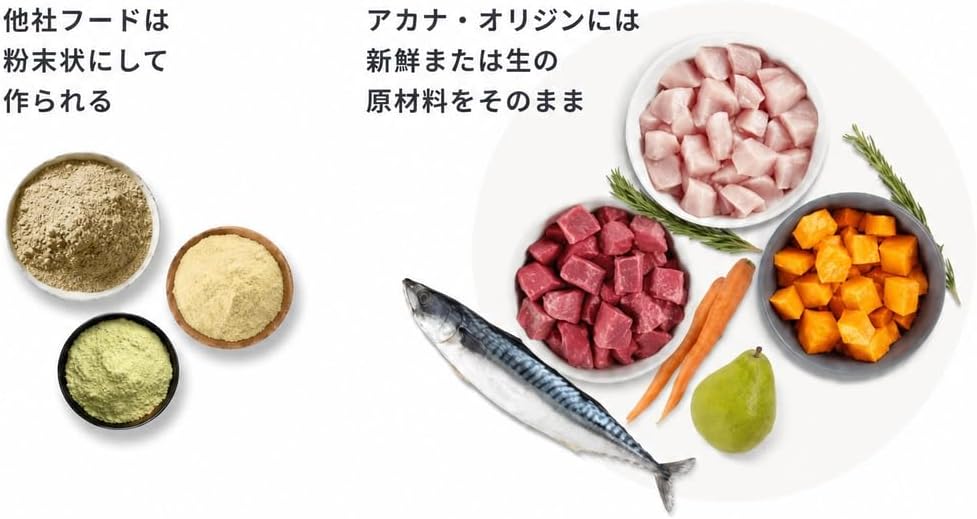 Orijen Regional Red Hundefutter