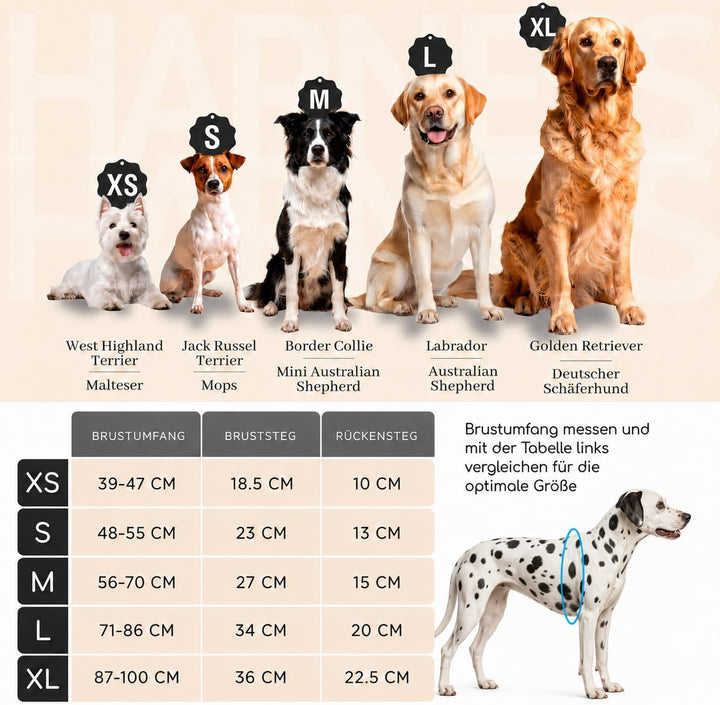FREUDENTIER Hundegeschirr mit Mesh-Polsterung - Höchster Komfort, bombenfester Sitz &amp; maximale Siche