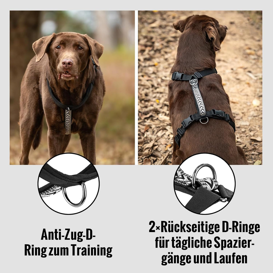Arblina Hundegeschirr, Ausbruchsicheres Antizuggeschirr für Kleine, Mittlere und Grosse Hunde, Hunde