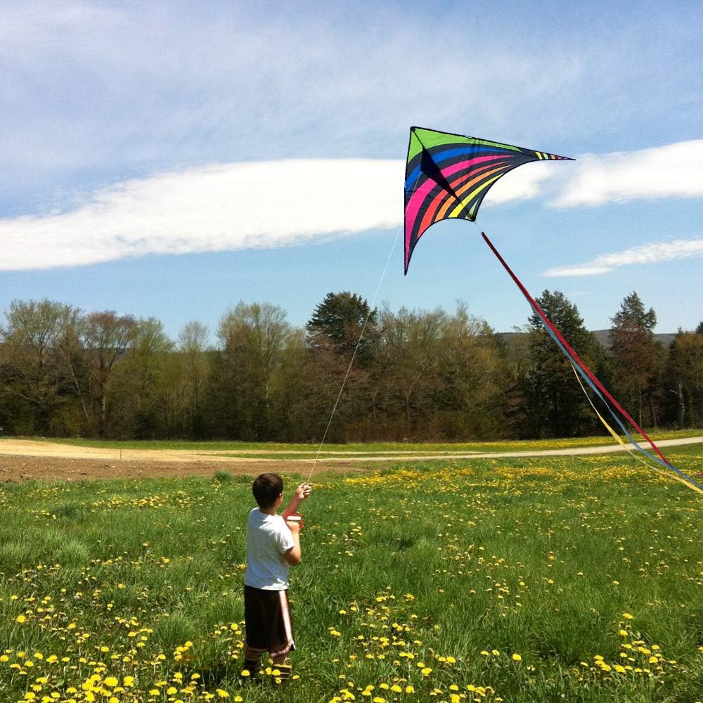 Mint's Colorful Life Delta Drachen Flugdrachen für Kinder und Erwachsene, extrem einfach zu Fliegend