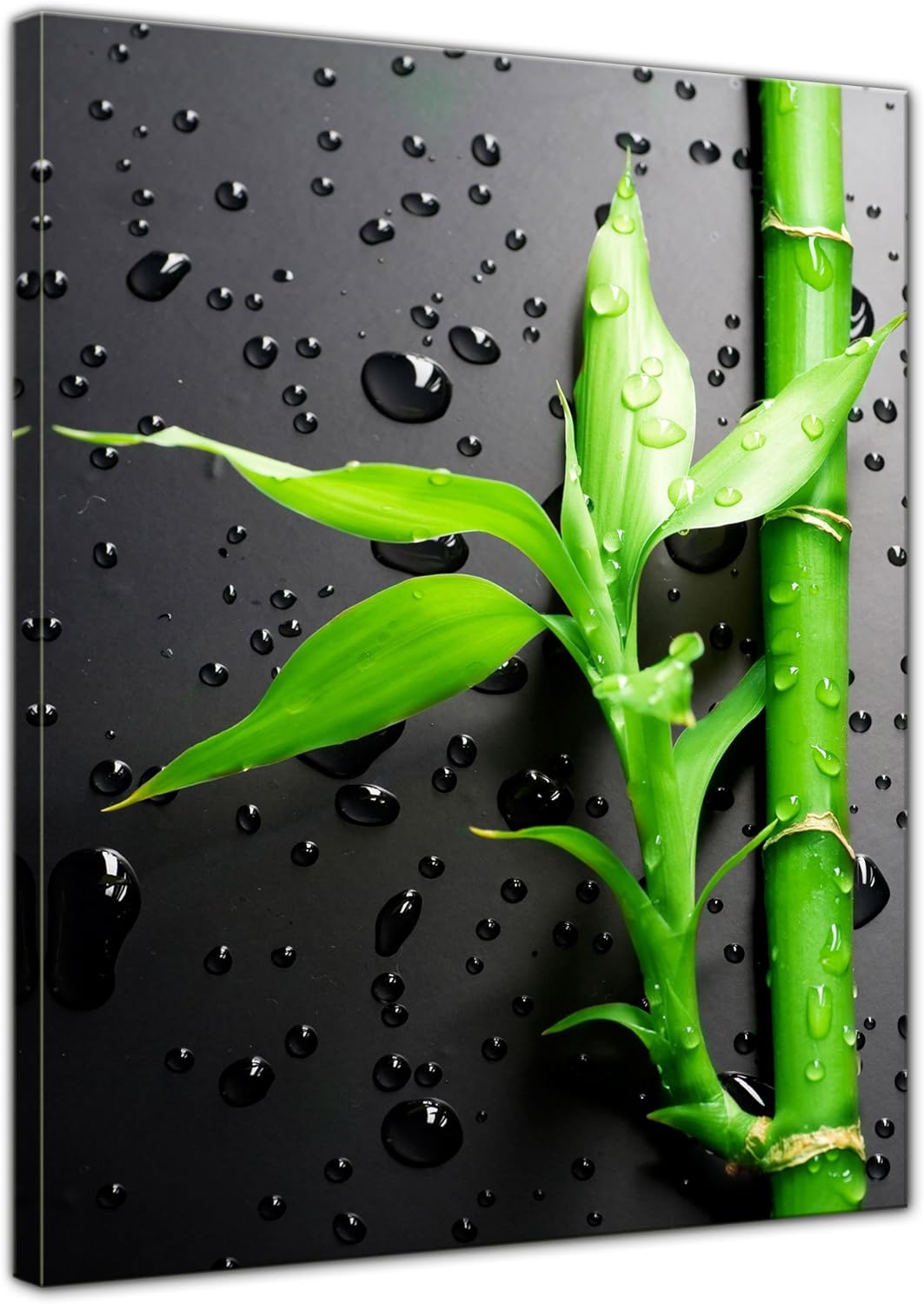 Bilderdepot24 Bild auf Leinwand | Frischer Bambus II in 60x80 cm als Wandbild | Wand-deko Dekoration