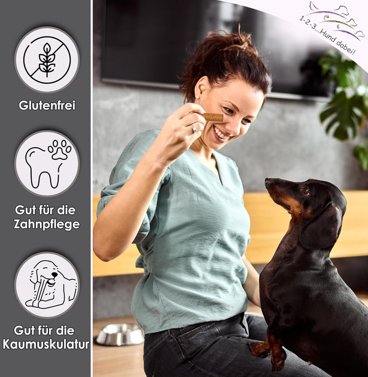 123... Hund dabei! - Kaurollen XXL 50er Tray (Hermetia/Insekten) - Dentalkaurolle - Glutenfrei - Vor