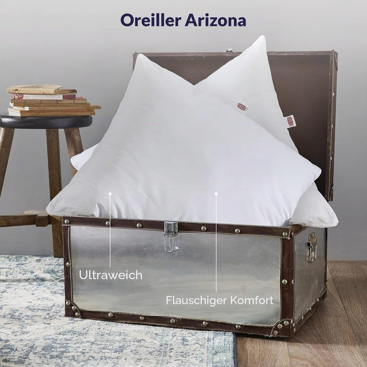 Dodo Set mit 2 Kissen, ultraweich, 60 x 60 cm, Flauschiger Komfort, 2 Kissen Arizona, Luftzirkulatio