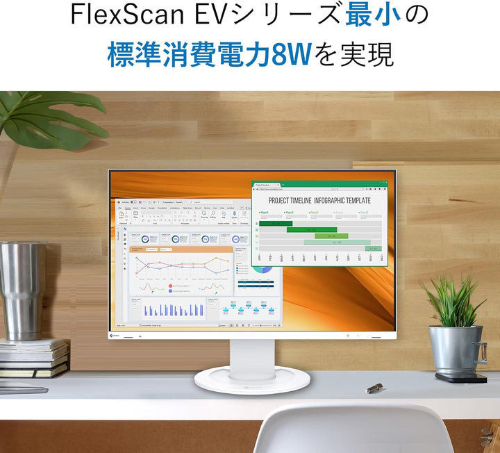 EIZO EV2400R-BK (23,8") IPS TFT