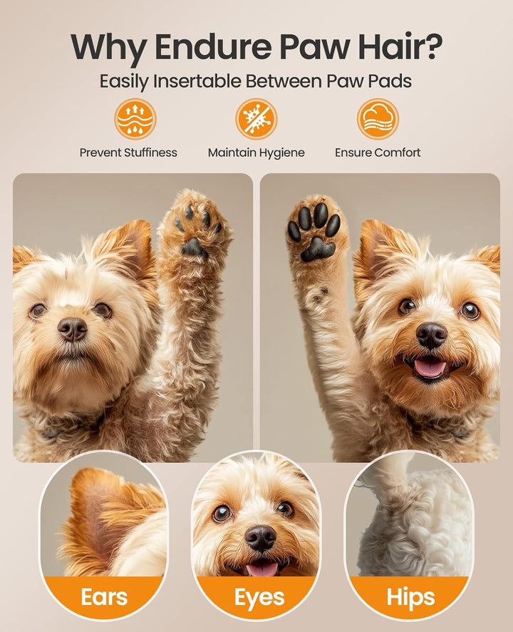 oneisall Leise Hundeschermaschine & Pfotentrimmer 2 in 1 Set, Profi Schermaschine Hund Katze für lan