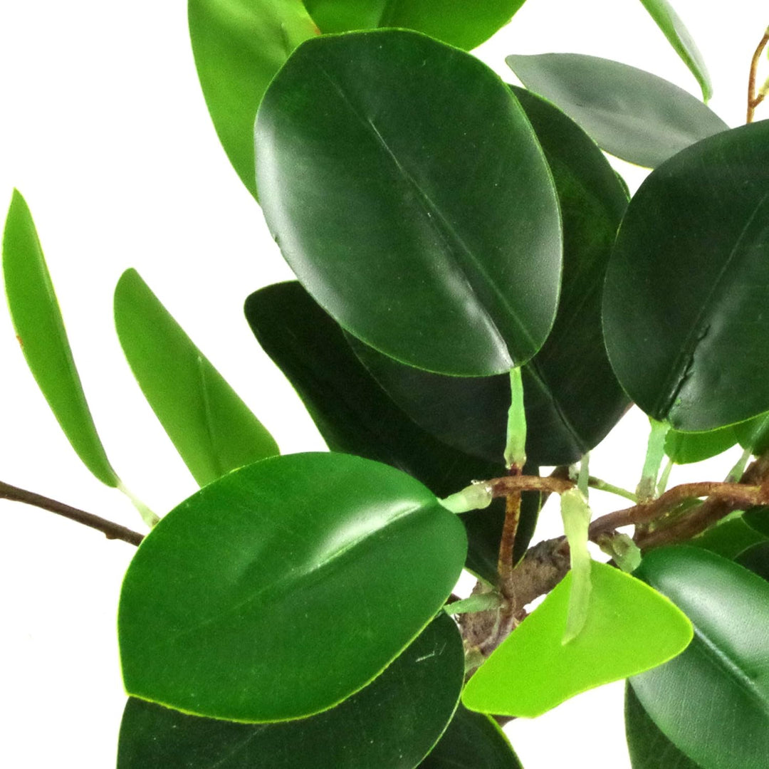 Leaf Künstlicher Kleiner Bonsai-Baum. 50 cm 50 Cm Ficus Abgerundeter Bonsai, 50 cm 50 Cm Ficus Abger