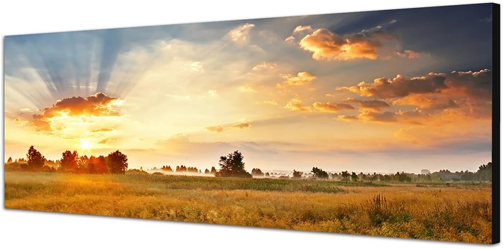 Paul Sinus Art Panoramabild auf Leinwand und Keilrahmen 150x50cm Wiese Landschaft Wolkenhimmel Sonne