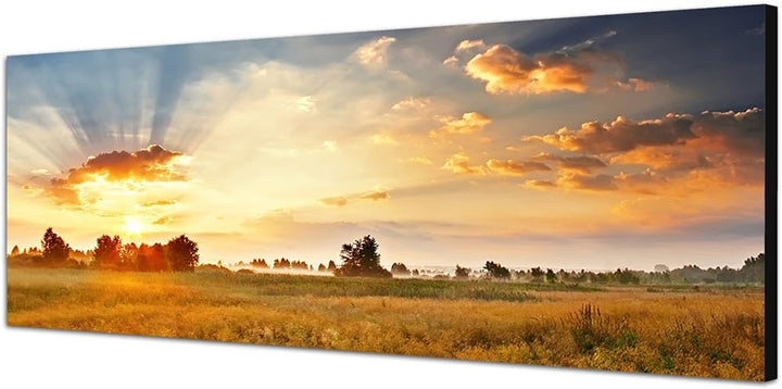 Paul Sinus Art Panoramabild auf Leinwand und Keilrahmen 150x50cm Wiese Landschaft Wolkenhimmel Sonne