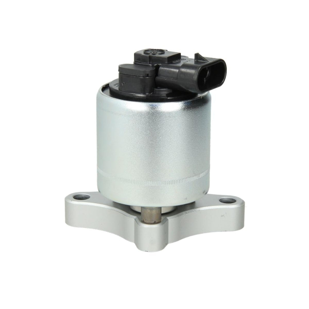 Delphi EG10003-12B1 Agr-Ventil