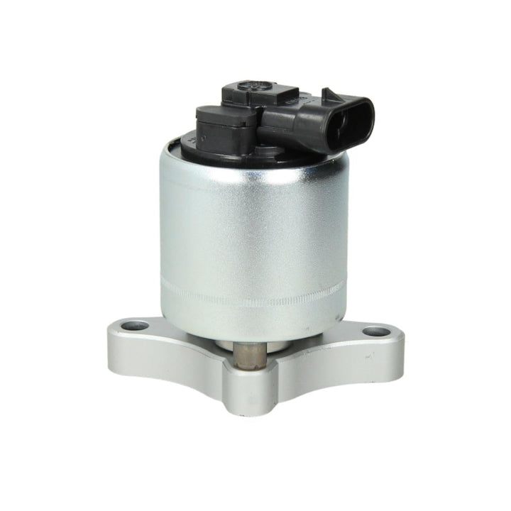 Delphi EG10003-12B1 Agr-Ventil