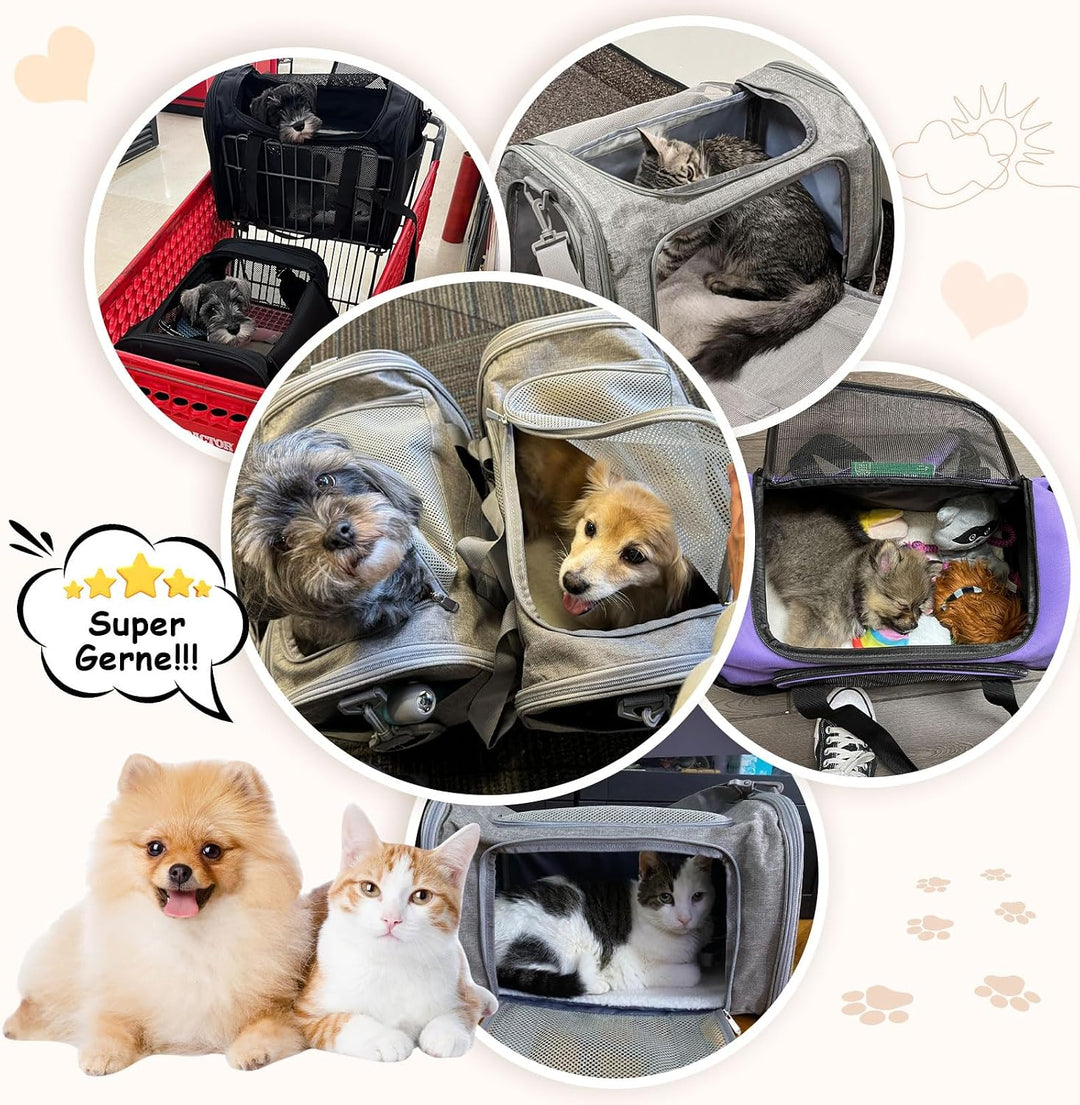 Lohofrnny Transporttasche Katze, Transportbox für Katze Hund, Katzentransporttasche, Faltbare Hausti