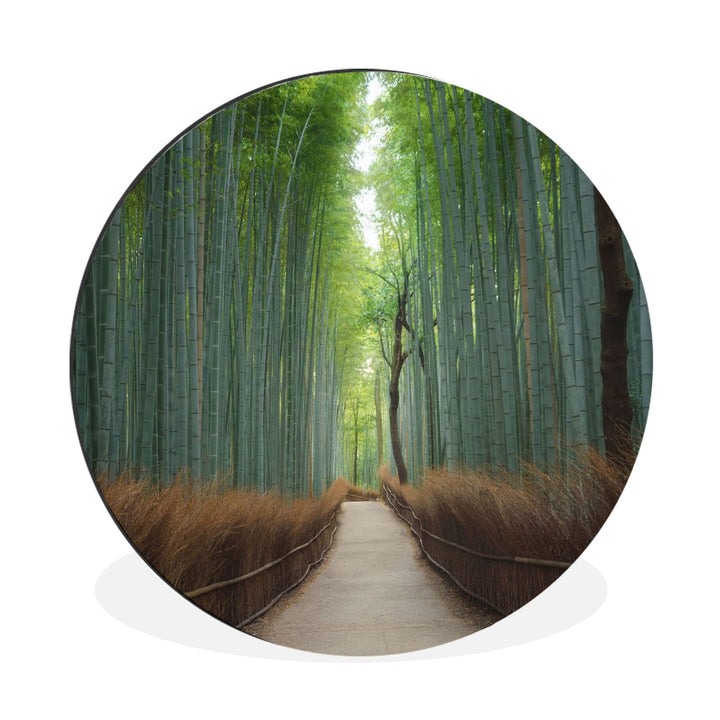 MuchoWow Wandbild Rund Wanddeko Deko Wohnzimmer Bilder 30x30 cm Bambus - Weg - Wald, 30x30 cm