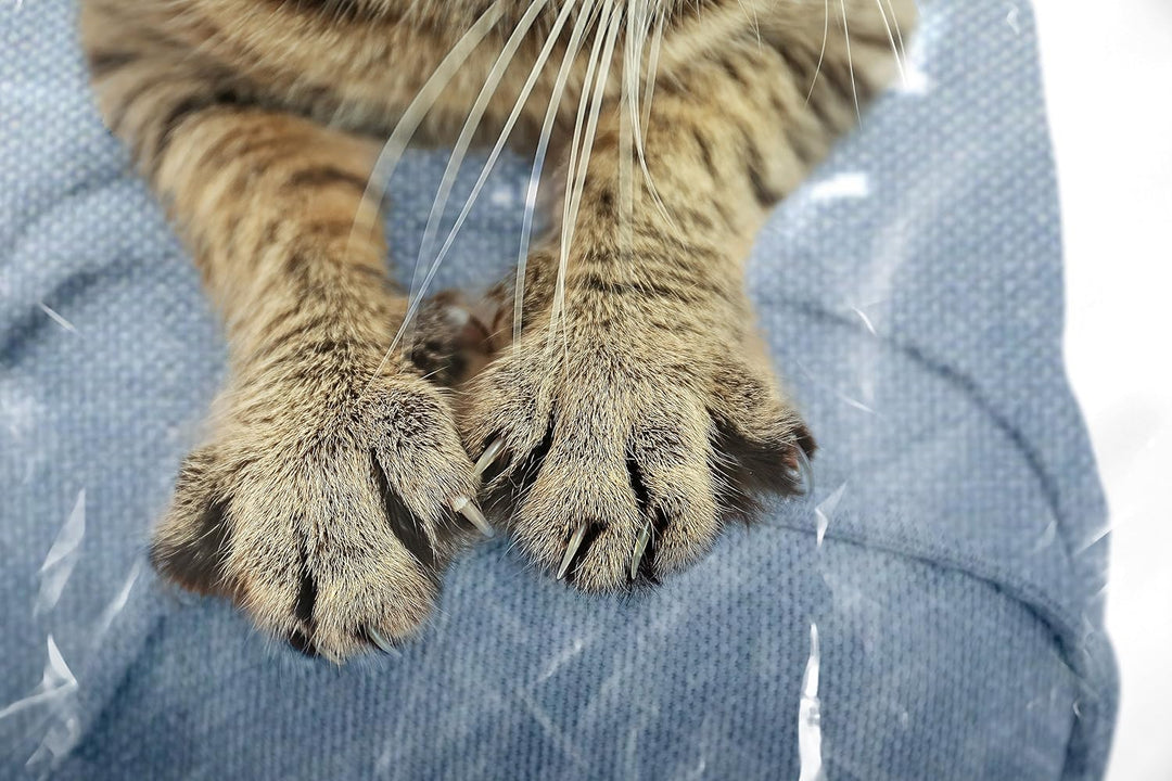 MEMINIM Plastic Couch Cover for Pets Cat Scratching Protector Clawing Deterrent Heavy Duty Water Res