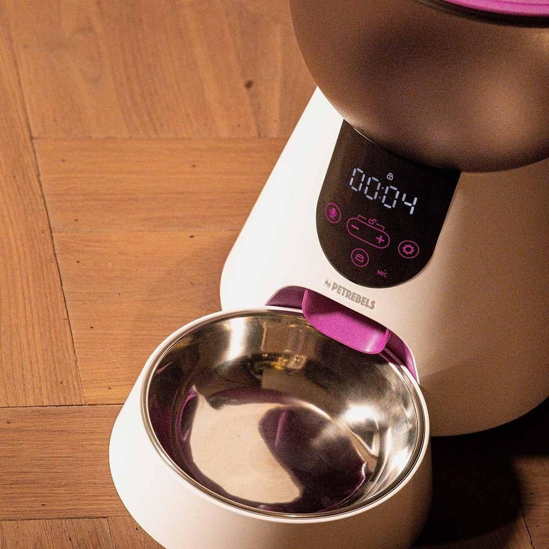 Petrebels Futterautomat Katze, Programmierbar, Mit Sprachaufnahme, 4 Liter, Touchscreen, Food-Expres