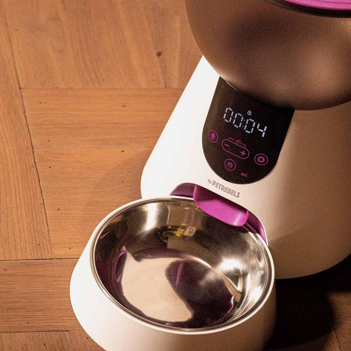 Petrebels Futterautomat Katze, Programmierbar, Mit Sprachaufnahme, 4 Liter, Touchscreen, Food-Expres