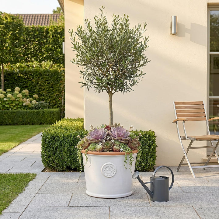 Teramico Pflanzgefäss Blumentopf Übertopf Krone Steinzeug glasiert Weiss Grau 34cm 45cm absolut Fros