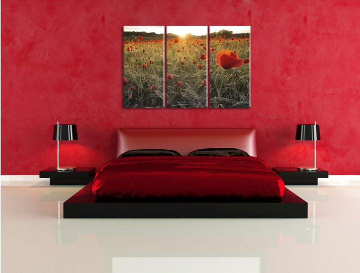 Pixxprint Traumhaftes Mohnfeld bei Sonnenuntergang Schwarz/Weiss 3-Teiler Leinwandbild 120x80 Bild a
