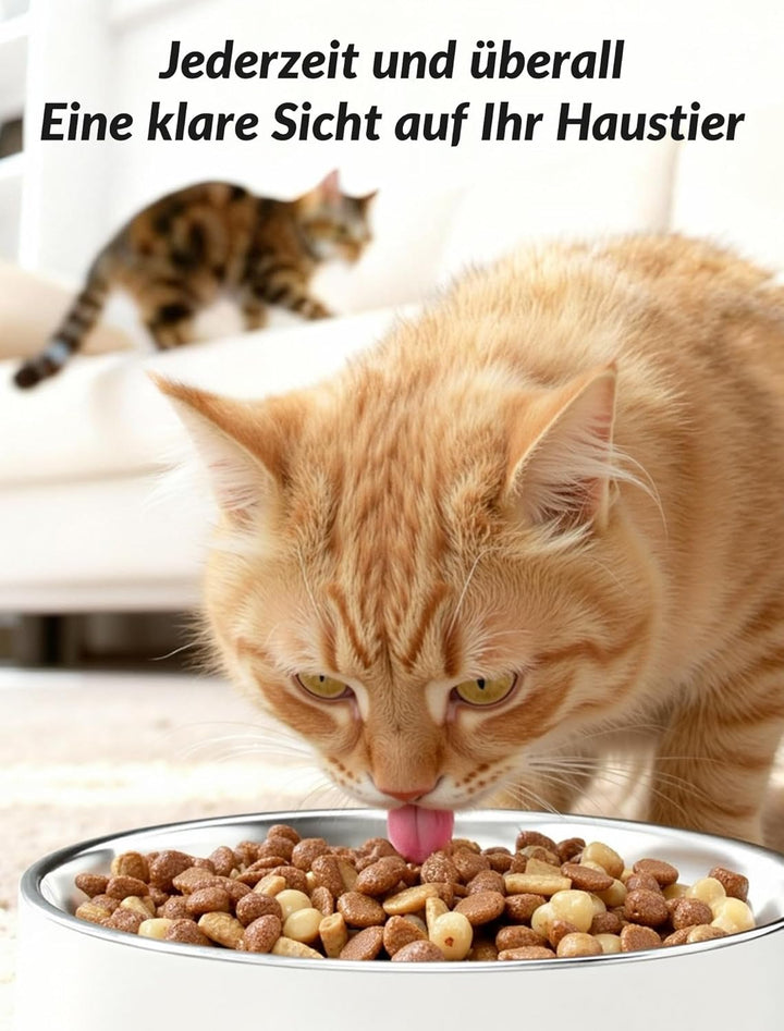 Futterautomat Katze Mit Kamera, KI Futterautomat Katze, 5L Katzen Futterautomaten, 1–6 Mahlzeiten fü