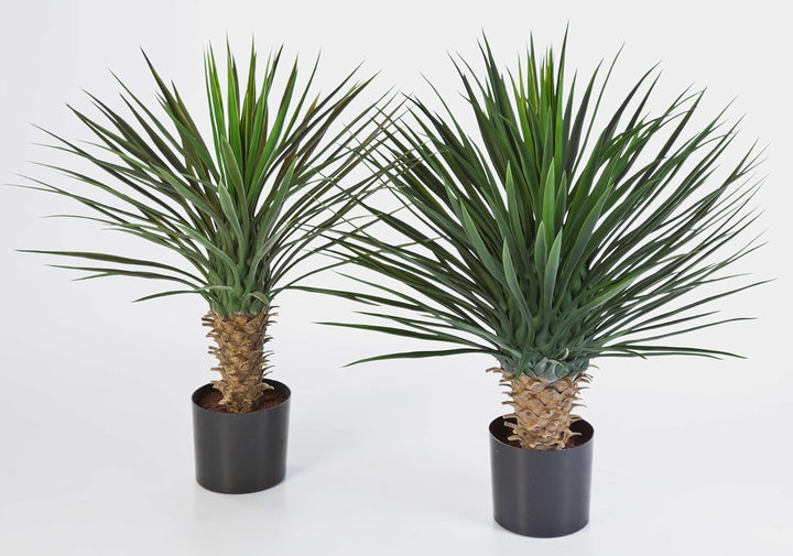 artplants.de Künstliche Yucca Rostrata, 176 Blätter, Deluxe, 80cm - Kunstbusch - Yucca Kunstpflanze