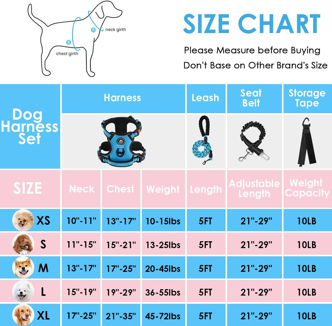 NESTROAD Hundegeschirr Grosse Hunde Leine Geschirrset Blau, Grösse L für Hunde Grosse mit Halsumfang