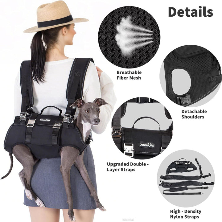 PETCUTE 4-in-1 Hunderucksack,Hundetasche für kleine Hunde,Einstellbar Hundegeschirr mit Abnehmbarem