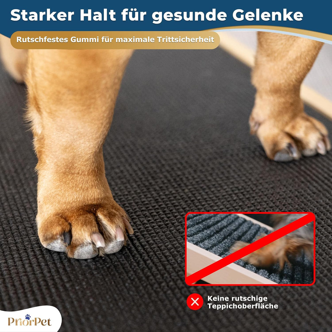 Hunderampe - Hundetreppe für kleine Hunde und grosse Hunde - Einstellbar 18-53 cm - Für Bett Sofa -