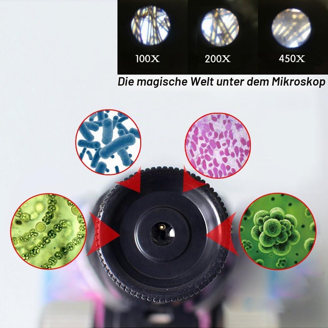 ALEENFOON Kinder Mikroskop, 100x 200x 450x Vergrösserung Wissenschaft Kinder Mikroskop Set mit LED B