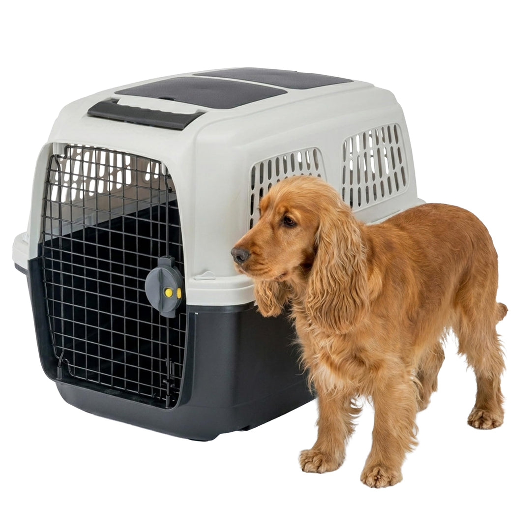 Ferplast Hundetransportbox CLIPPER PLUS, IATA-geeignet, Mittlere Hundetransportbox bis 20 kg, Sicher