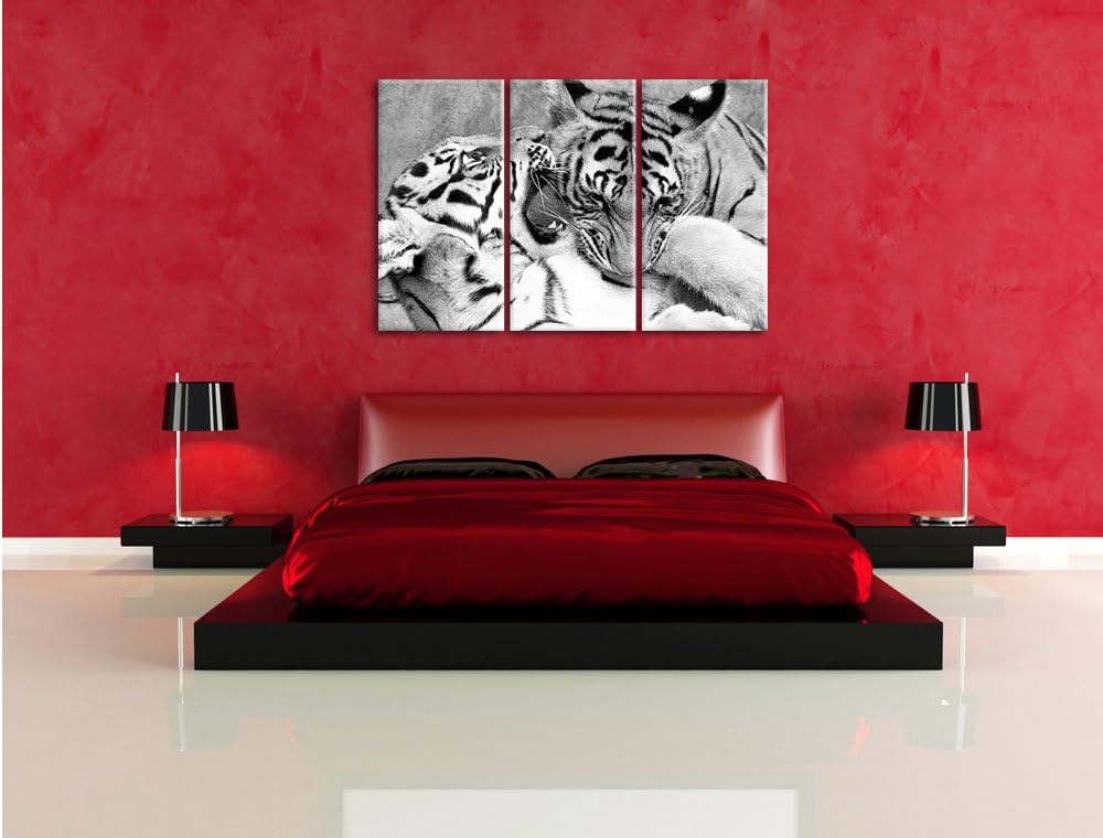 Pixxprint Tiger beim Kämpfen als Leinwandbild/Grösse: 3 Teilig (120x80 cm) cm/Wandbild/Kunstdruck/fe