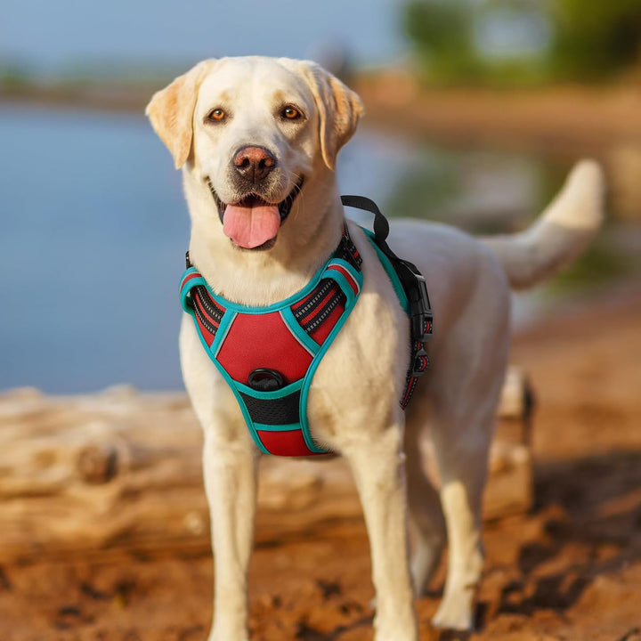 rabbitgoo Hundegeschirr Mittelgrosse Hunde, Anti Zug Geschirr mit Kontrolle, No Pull Verstellbar Hun