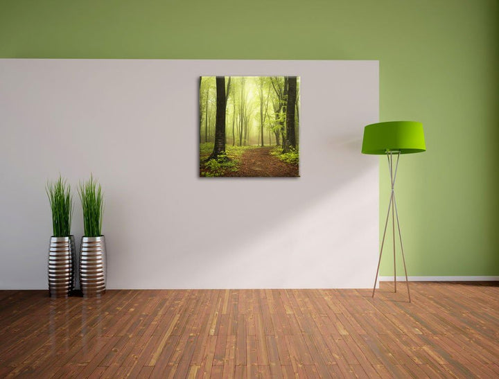 Pixxprint Sonniger Weg im atemberaubenden Wald, Format: 70x70 auf Leinwand, 70x70