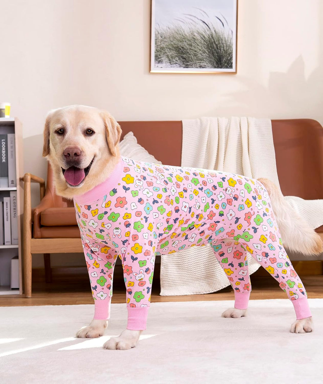 BT Bear Grosse Hundekleidung, elastischer Haustier-Einteiler, schützt Gelenke, Anti-Haare, Anti-Leck