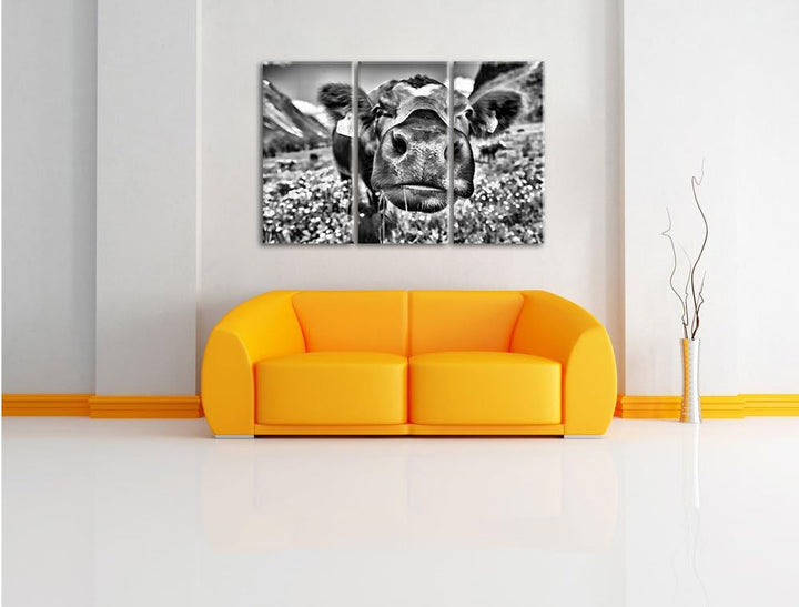 Pixxprint Monocrome, Süsse Alpen Kuh auf Bergwiese 3-Teiler Leinwandbild 120x80 Bild auf Leinwand