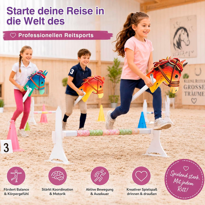 10 Stück Steckenpferde Basteln, Steckenpferde aus Pappe (A), A
