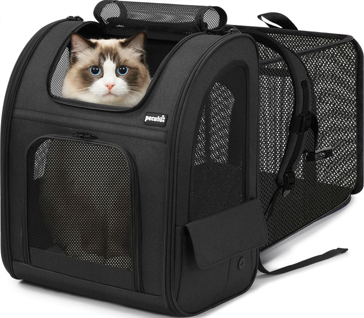 pecute Hunderucksack Erweiterbar XL für 6-10 kg, Faltbar Katzenrucksack Katzen mit Anti-offener Reis