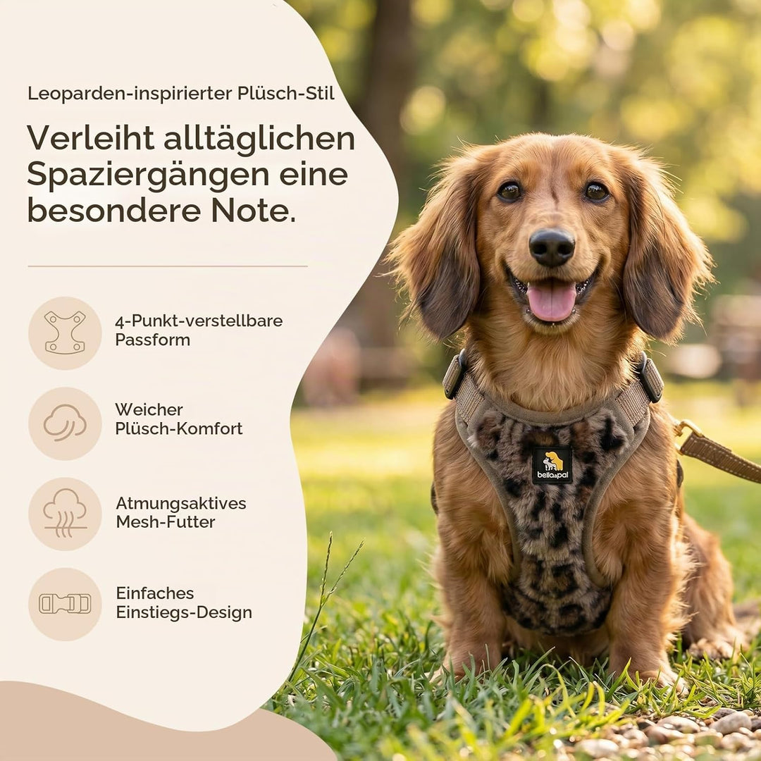 BELLA &amp; PAL Hundegeschirr mit Leine Set, Step-in Geschirr für Welpen/kleine/mittelgrosse Hunde, weic