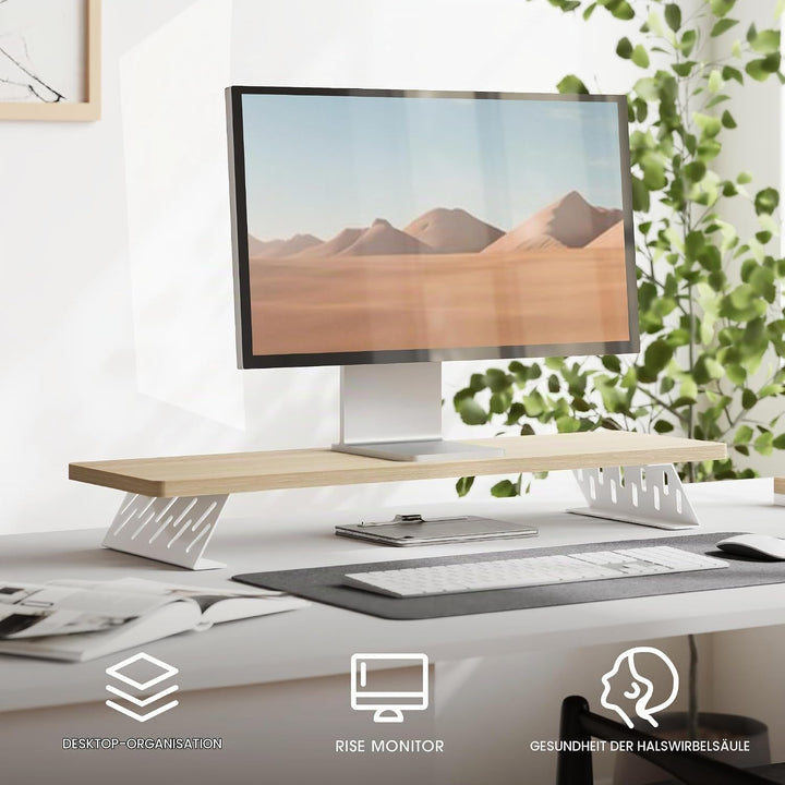 Fenge Dual Monitorständer mit Modernen Metallfüssen Multifunktionaler Bildschirmständer für Computer