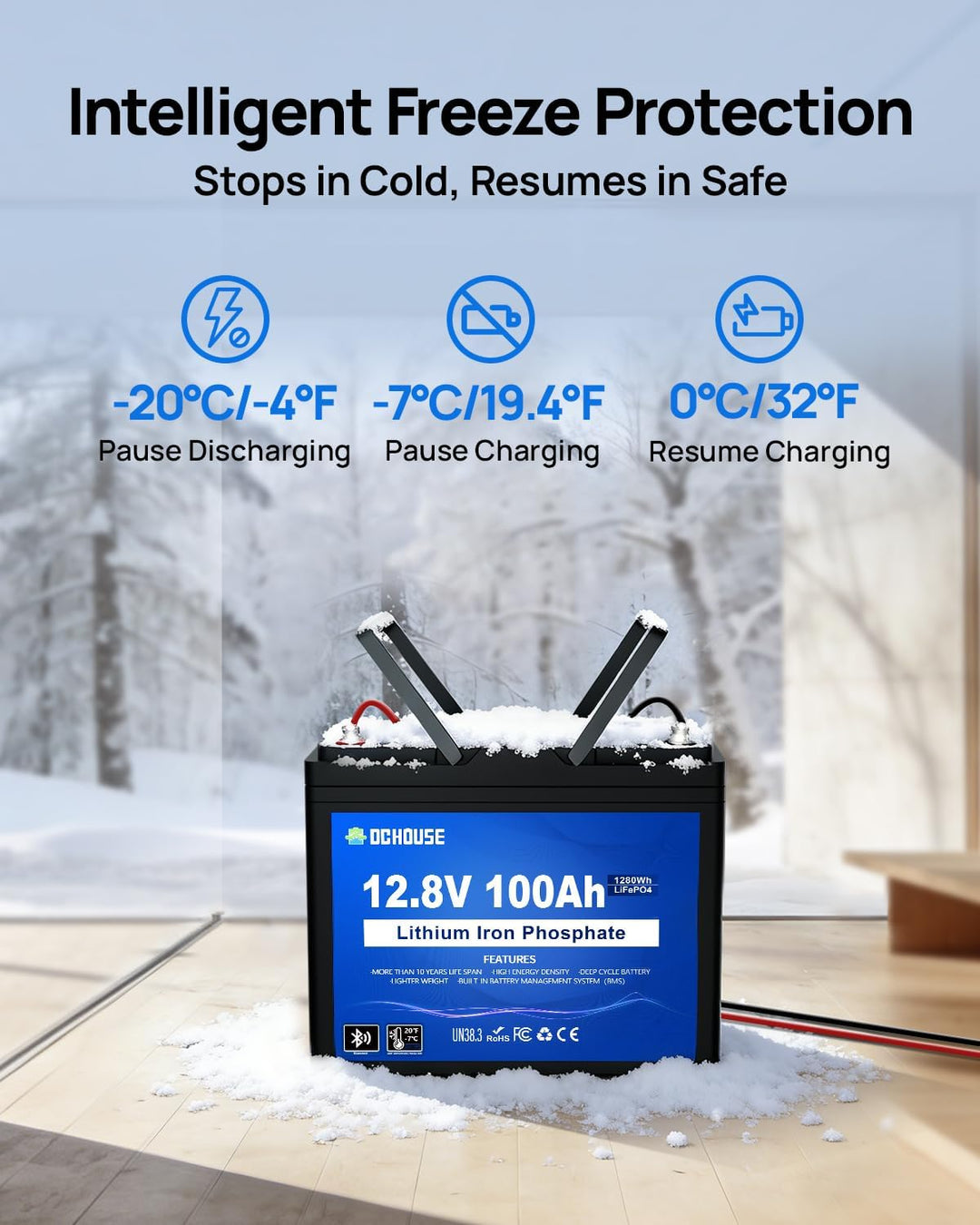 DCHOUSE 12V 100Ah LiFePO4 Batterie mit 10A Batterie Ladegeräte, Verbessertes 100A BMS, Bis zu 15000
