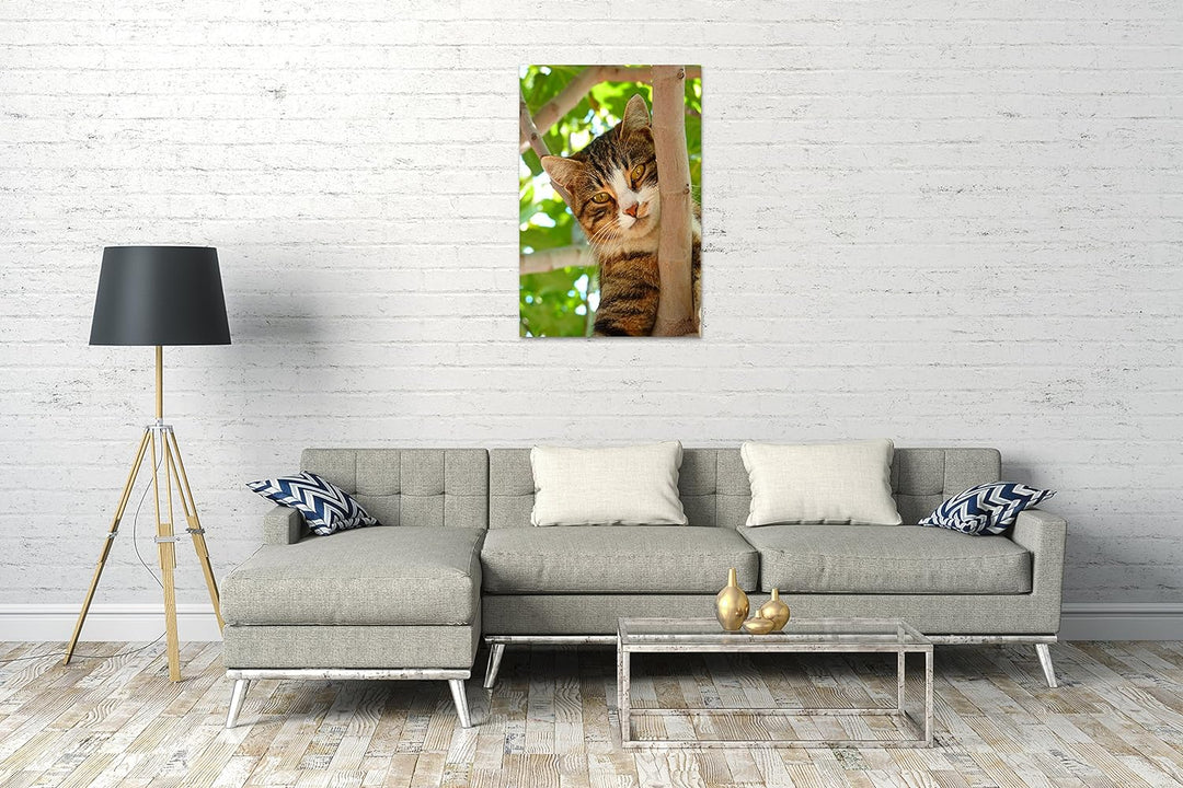 Printed Paintings Leinwand (70x100cm): Katze auf Baum süss Katzenbaby Katzenbilder 70x100 cm, 70x100