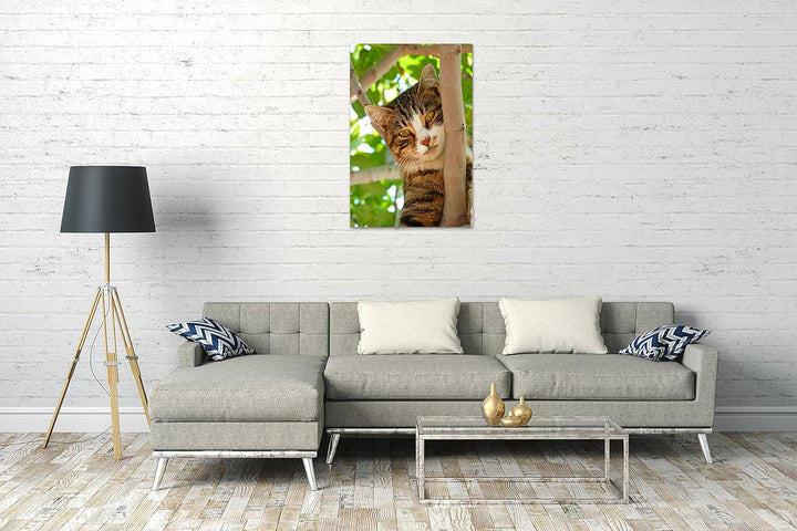 Printed Paintings Leinwand (60x80cm): Katze auf Baum süss Katzenbaby Katzenbilder 60x80 cm, 60x80 cm
