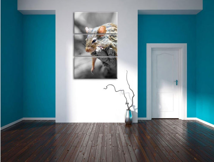 Pixxprint ruhende Feldmaus schwarz/weiss 3-Teiler Leinwandbild 120x80 Bild auf Leinwand