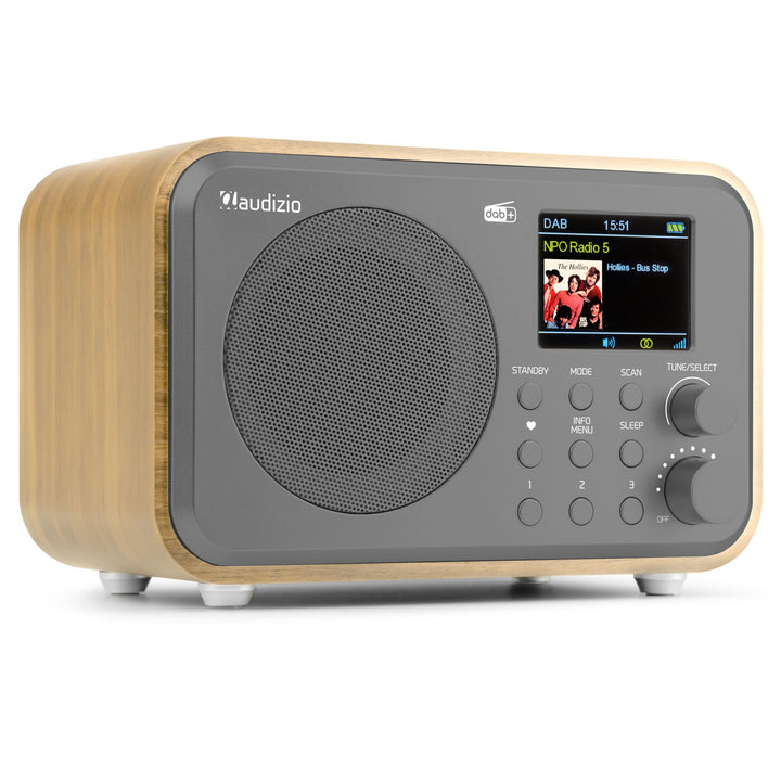 Audizio Milan DAB Radio mit Bluetooth, 10 Stunden Akku Radio 2000 mAh, Radiowecker mit Sleeptimer, L